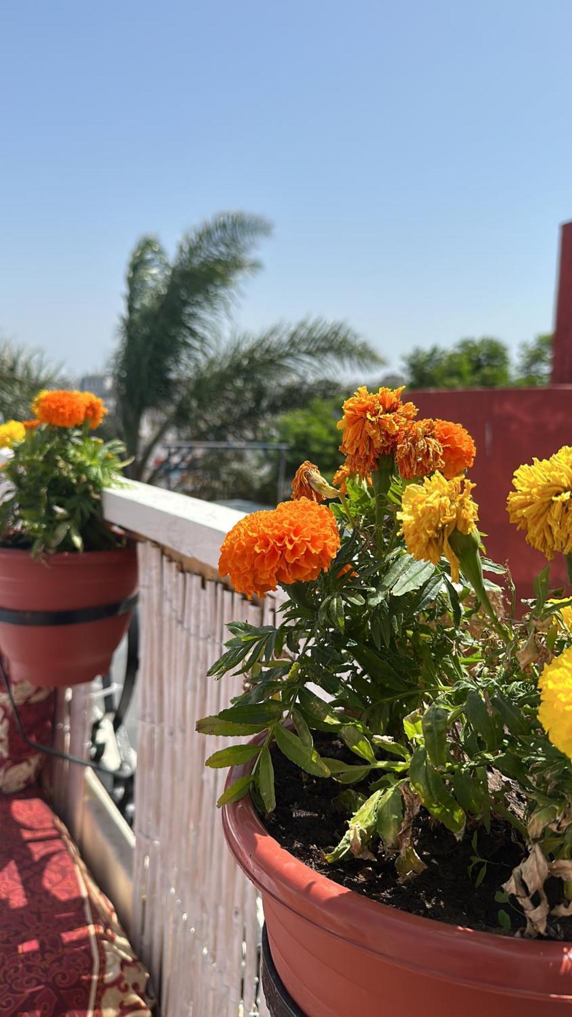 House With Sea View In Kasbah Βίλα Ταγγέρη Εξωτερικό φωτογραφία